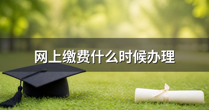 网上缴费什么时候办理