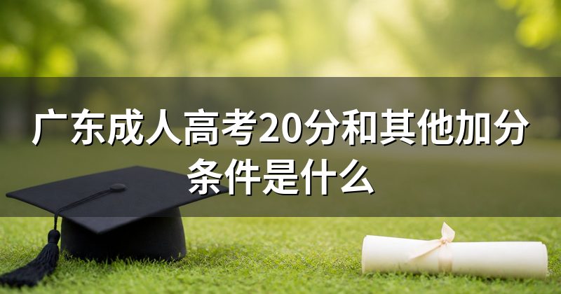 广东成人高考20分和其他加分条件是什么