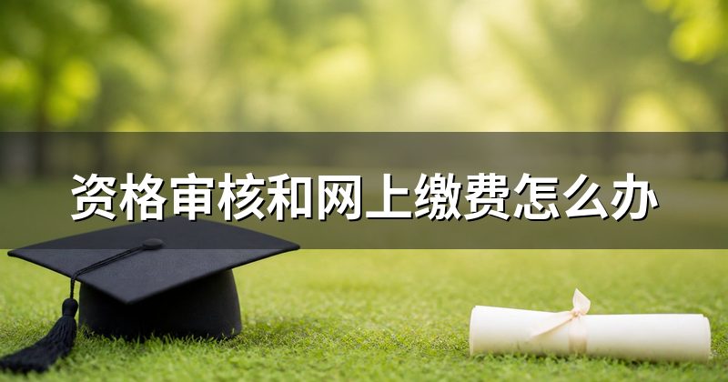 资格审核和网上缴费怎么办