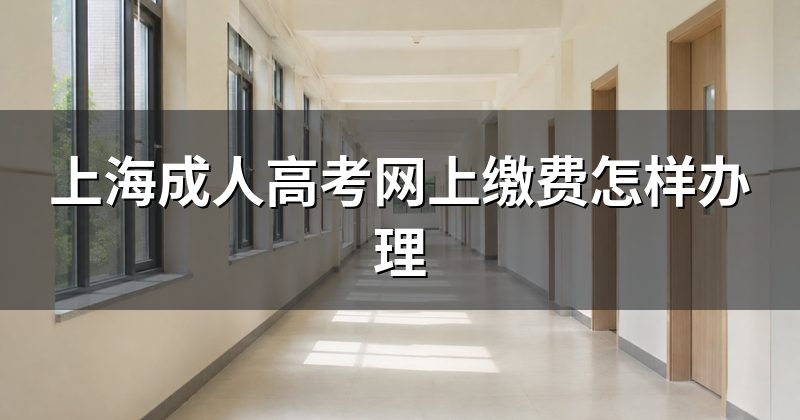 上海成人高考网上缴费怎样办理