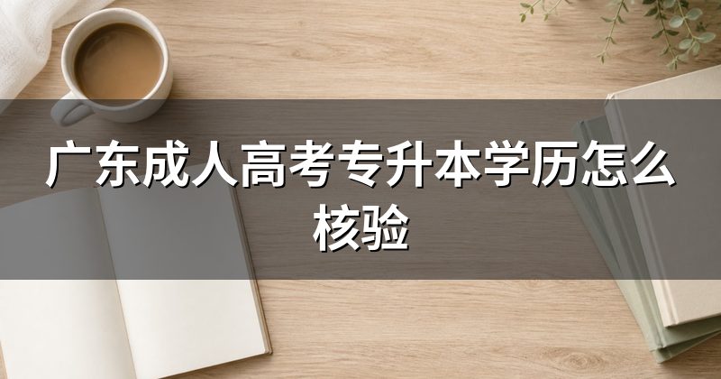 广东成人高考专升本学历怎么核验