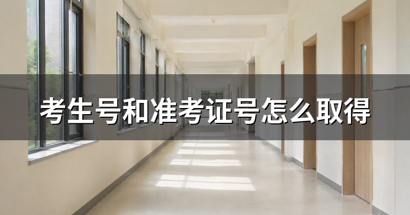 考生号和准考证号怎么取得