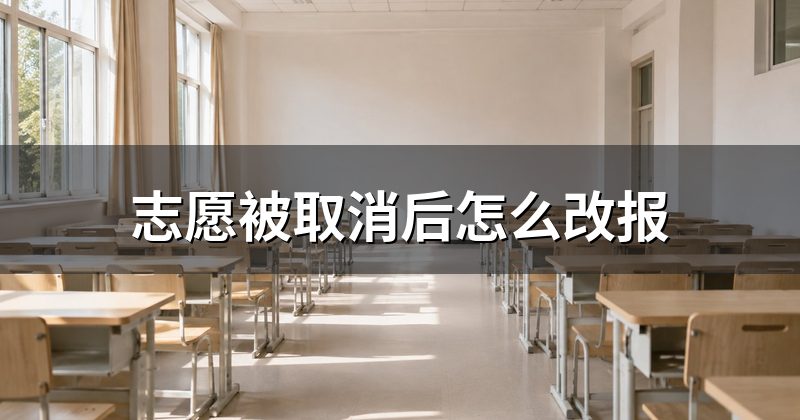 志愿被取消后怎么改报