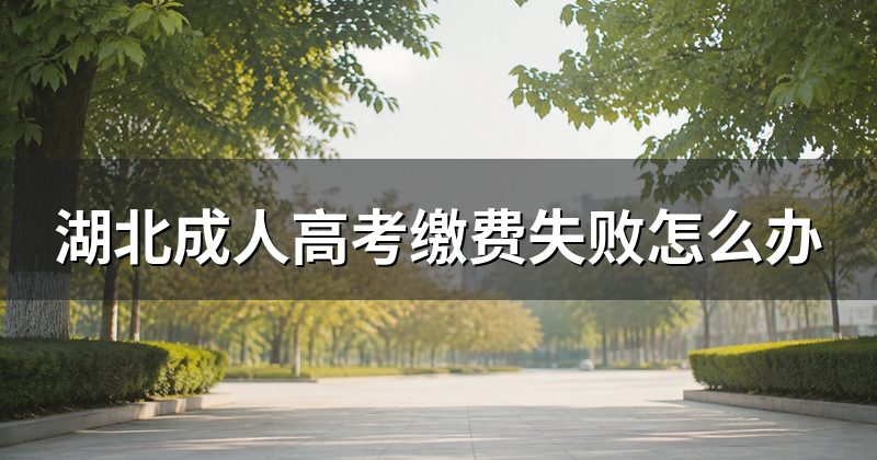 湖北成人高考缴费失败怎么办