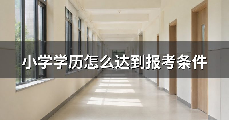 小学学历怎么达到报考条件