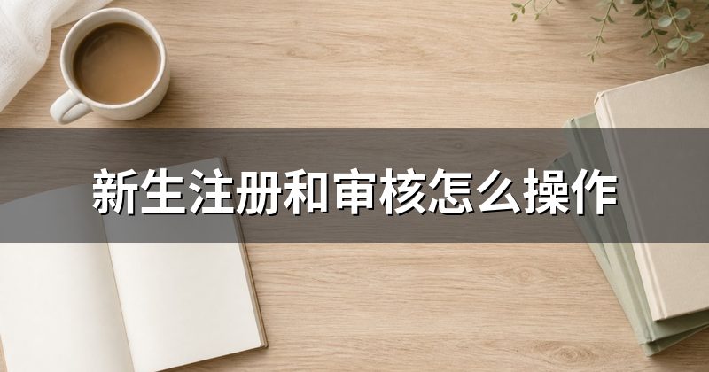 新生注册和审核怎么操作