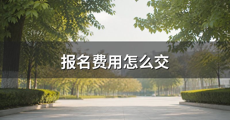 报名费用怎么交