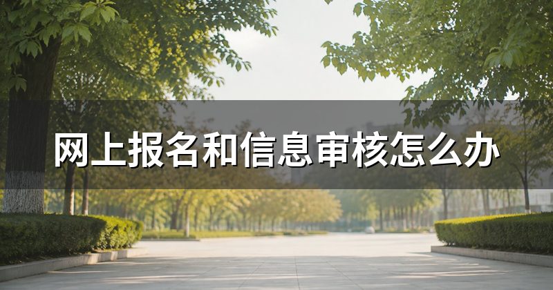 网上报名和信息审核怎么办