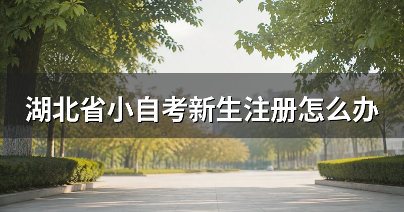 湖北省小自考新生注册怎么办