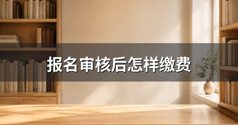 报名审核后怎样缴费
