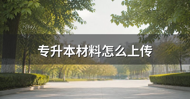专升本材料怎么上传