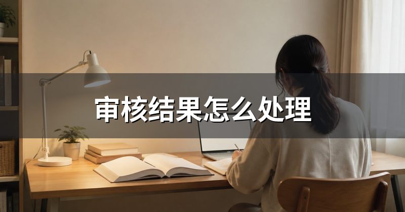 审核结果怎么处理