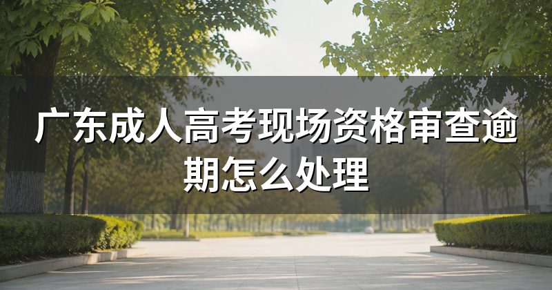 广东成人高考现场资格审查逾期怎么处理