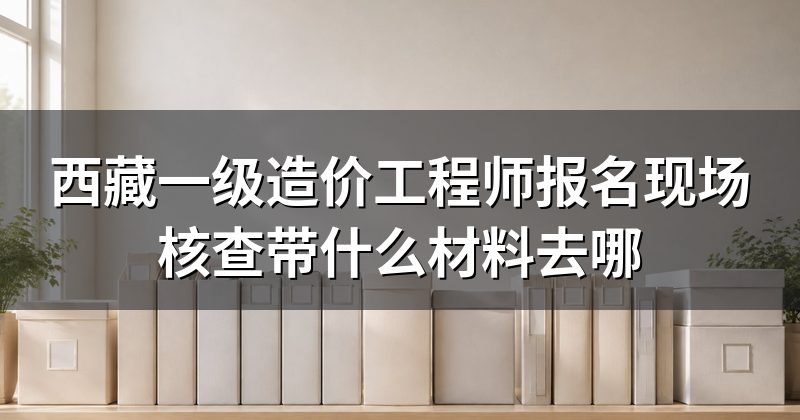 西藏一级造价工程师报名现场核查带什么材料去哪