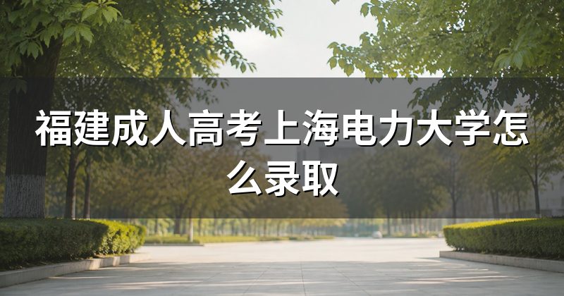 福建成人高考上海电力大学怎么录取