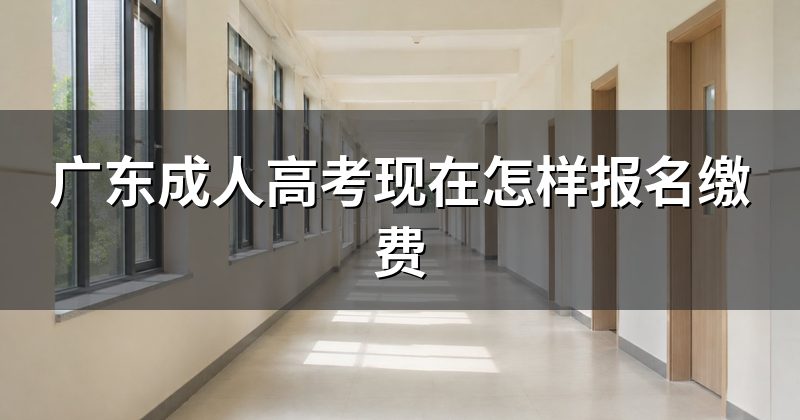 广东成人高考现在怎样报名缴费