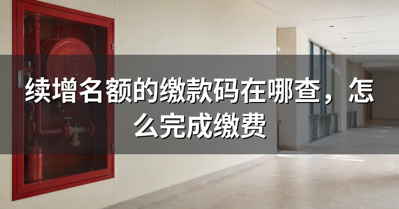 续增名额的缴款码在哪查，怎么完成缴费
