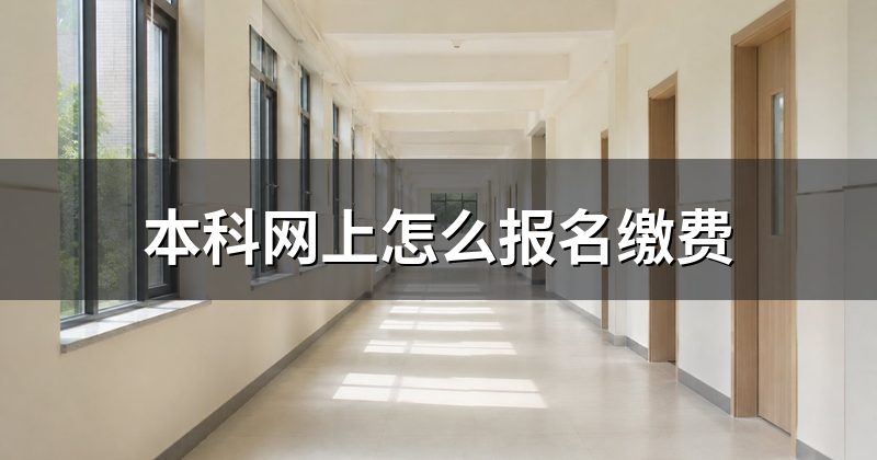 本科网上怎么报名缴费