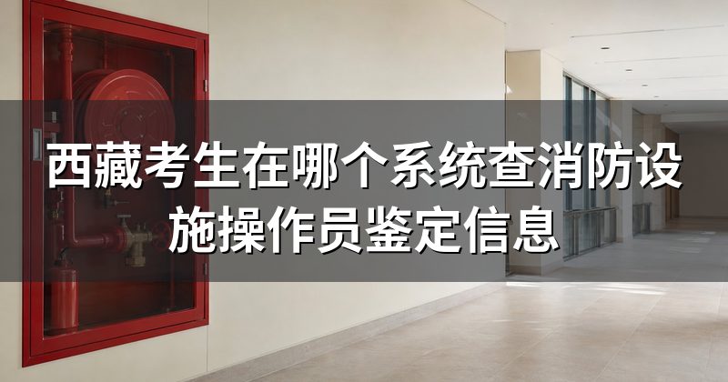 西藏考生在哪个系统查消防设施操作员鉴定信息