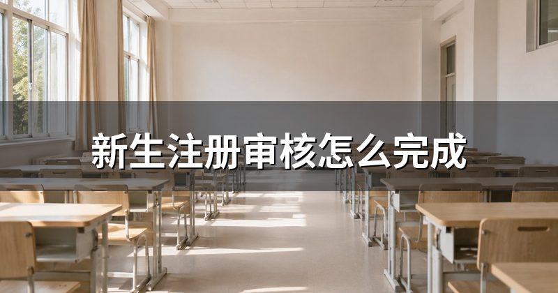 新生注册审核怎么完成