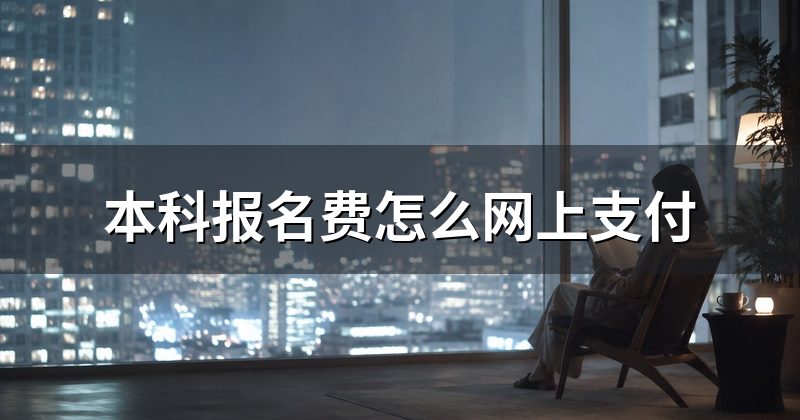 本科报名费怎么网上支付