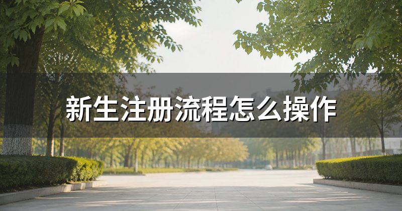新生注册流程怎么操作