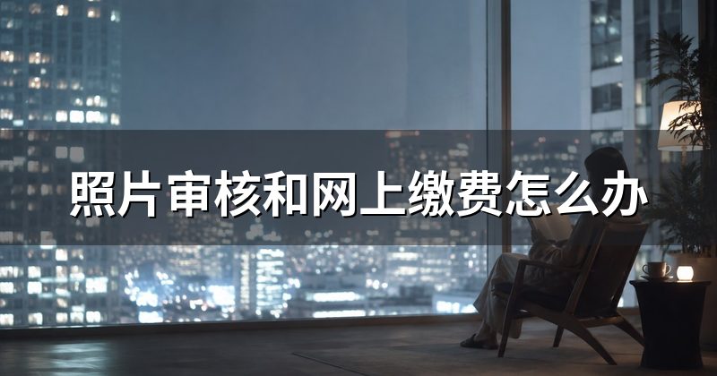 照片审核和网上缴费怎么办
