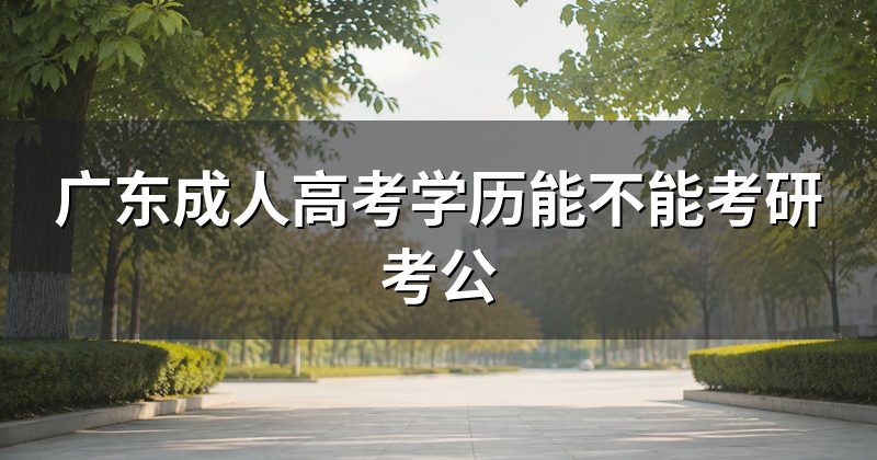 广东成人高考学历能不能考研考公
