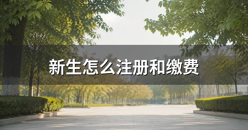 新生怎么注册和缴费