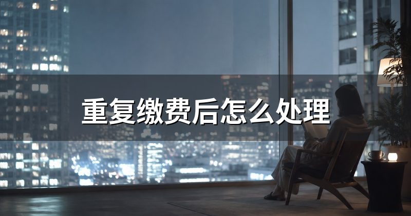 重复缴费后怎么处理