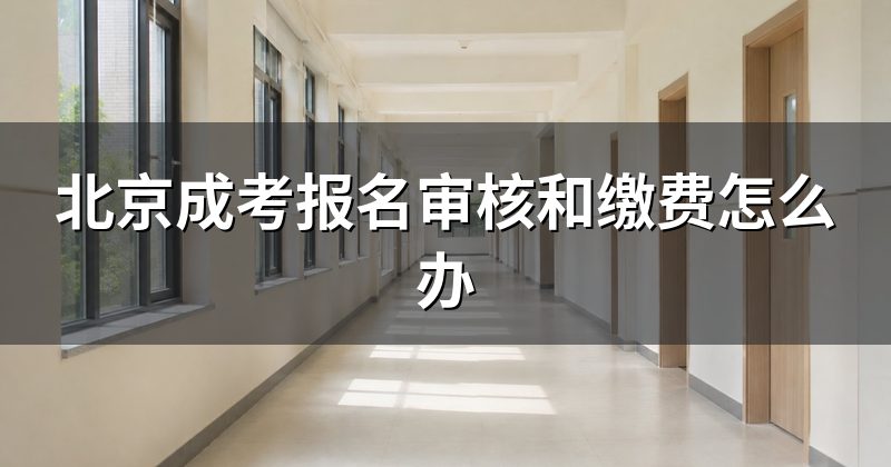 北京成考报名审核和缴费怎么办