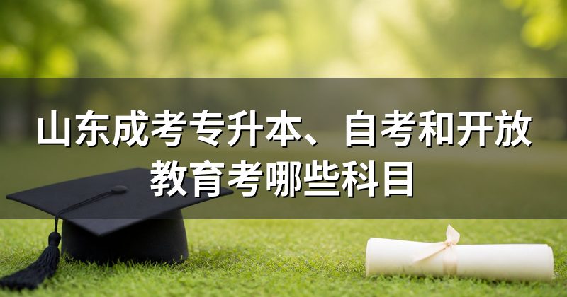 山东成考专升本、自考和开放教育考哪些科目