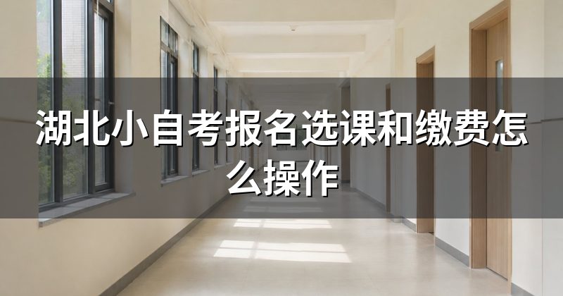 湖北小自考报名选课和缴费怎么操作
