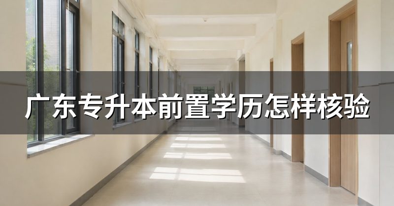广东专升本前置学历怎样核验