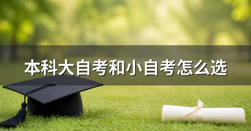 本科大自考和小自考怎么选