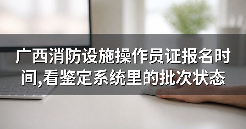 广西消防设施操作员证报名时间,看鉴定系统里的批次状态