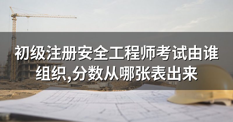 初级注册安全工程师考试由谁组织,分数从哪张表出来