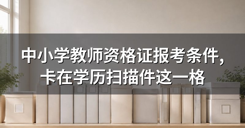 中小学教师资格证报考条件,卡在学历扫描件这一格