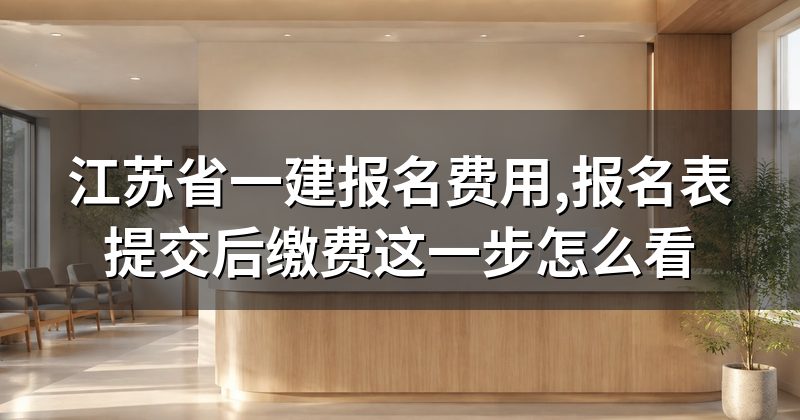 江苏省一建报名费用,报名表提交后缴费这一步怎么看