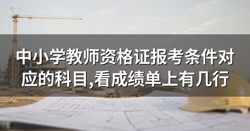 中小学教师资格证报考条件对应的科目,看成绩单上有几行