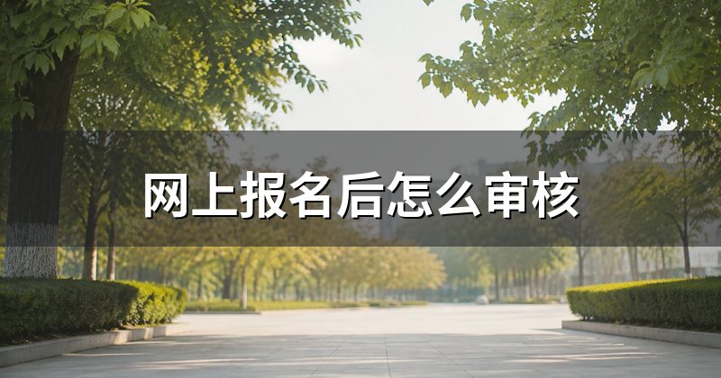 网上报名后怎么审核