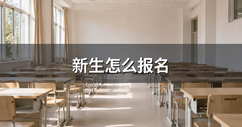 新生怎么报名