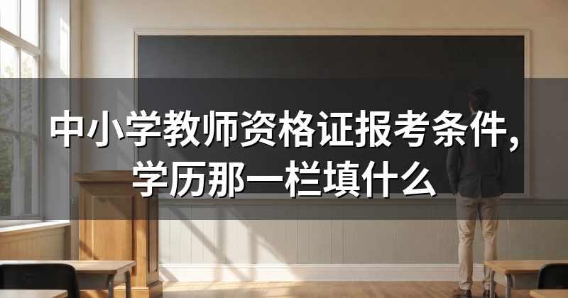 中小学教师资格证报考条件,学历那一栏填什么