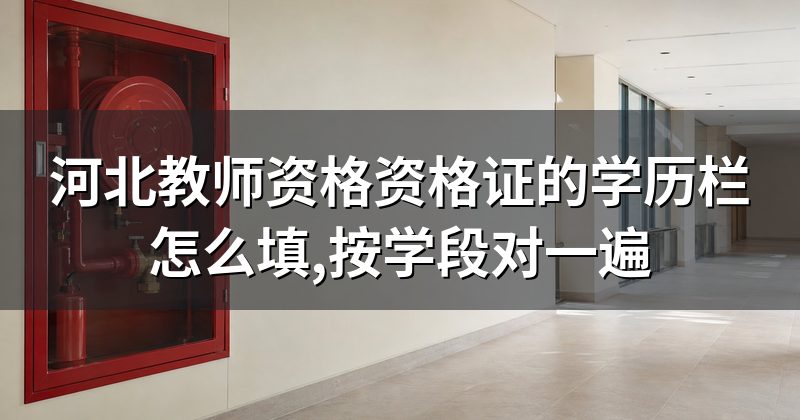 河北教师资格资格证的学历栏怎么填,按学段对一遍