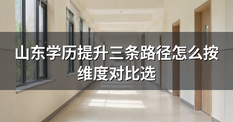 山东学历提升三条路径怎么按维度对比选
