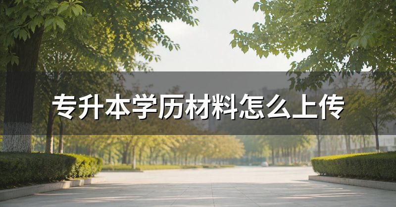 专升本学历材料怎么上传