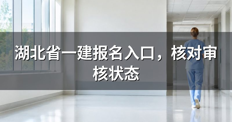 湖北省一建报名入口,核对审核状态
