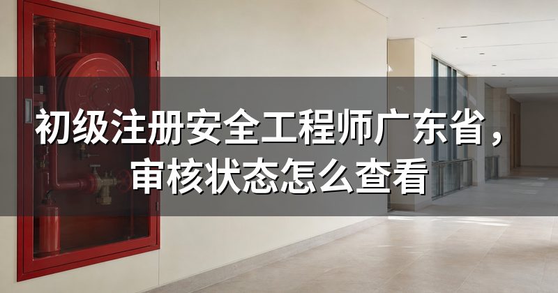 初级注册安全工程师广东省,审核状态怎么查看
