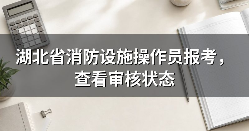 湖北省消防设施操作员报考，查看审核状态