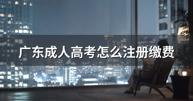 广东成人高考怎么注册缴费